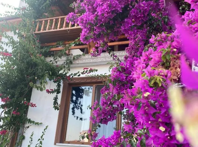 Villa Tomsan Akyaka (Mugla)